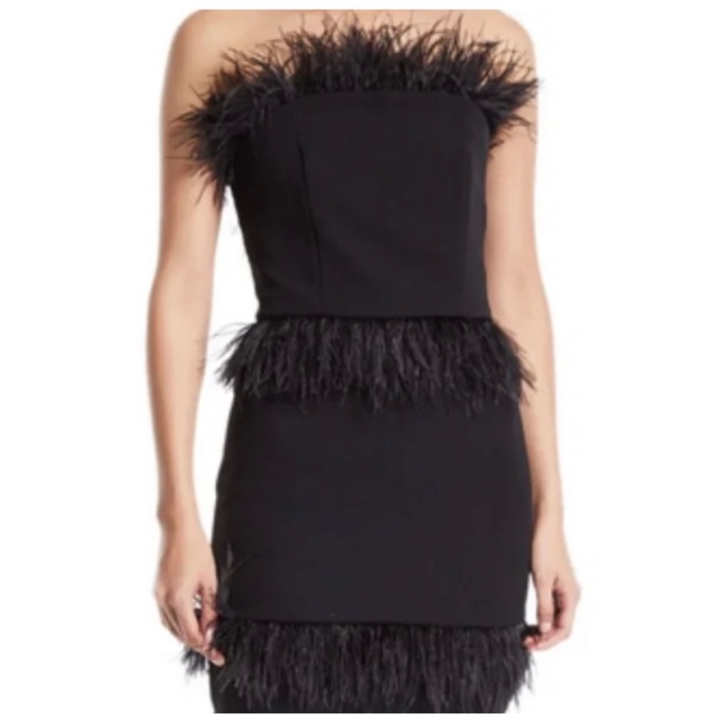 Elliatt Black Strapless Dress with Feather Accents